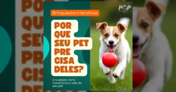 Cachorro Jack Russell Terrier pulando e brincando com bola vermelha, ilustrando a diversão e o estímulo proporcionados por brinquedos interativos, conforme destacado pela Redepop Varginha.