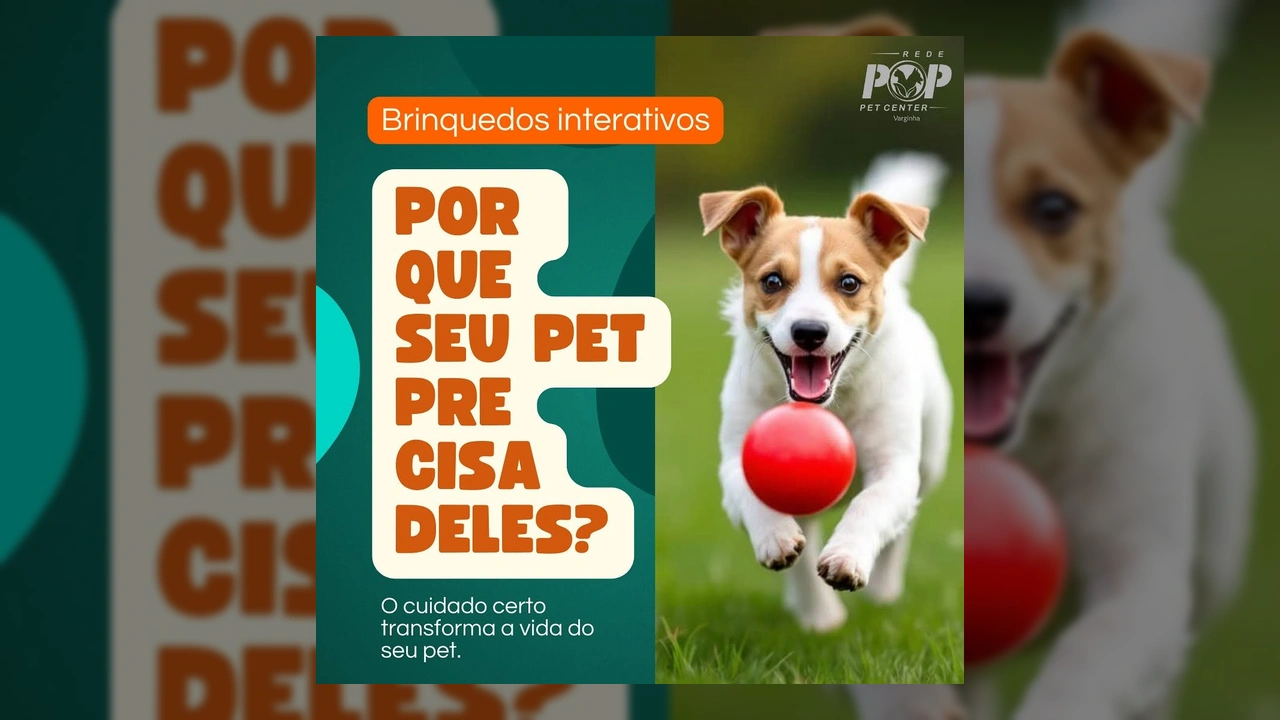Cachorro Jack Russell Terrier pulando e brincando com bola vermelha, ilustrando a diversão e o estímulo proporcionados por brinquedos interativos, conforme destacado pela Redepop Varginha.