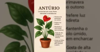 Imagem ilustrativa de um antúrio vermelho em um vaso de terracota, com folhas grandes e verdes. Crédito: magiaa_das_flores / Instagram.