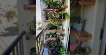 Um homem replantando um Filodendro em um vaso maior, parte do processo de embelezamento do cantinho verde na varanda, do perfil Cheiro De Verde l Decoração