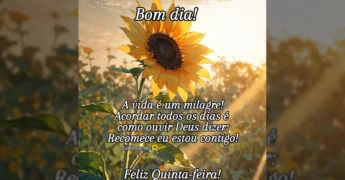Foto de um girassol em um campo, sob a luz do sol, com a mensagem 'Bom dia!' de Sol Fernandes.