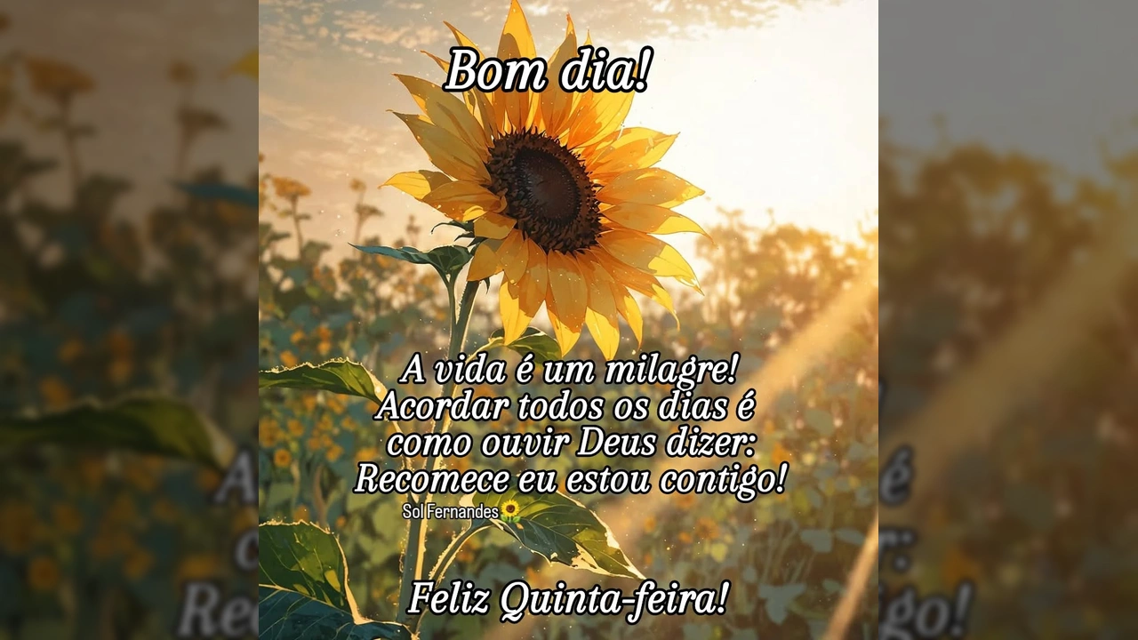 Foto de um girassol em um campo, sob a luz do sol, com a mensagem 'Bom dia!' de Sol Fernandes.