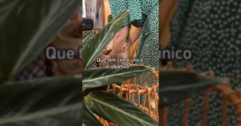 Imagem de Angela Cristina em um ambiente repleto de plantas, transmitindo uma mensagem de autoaceitação e impacto positivo. / Instagram