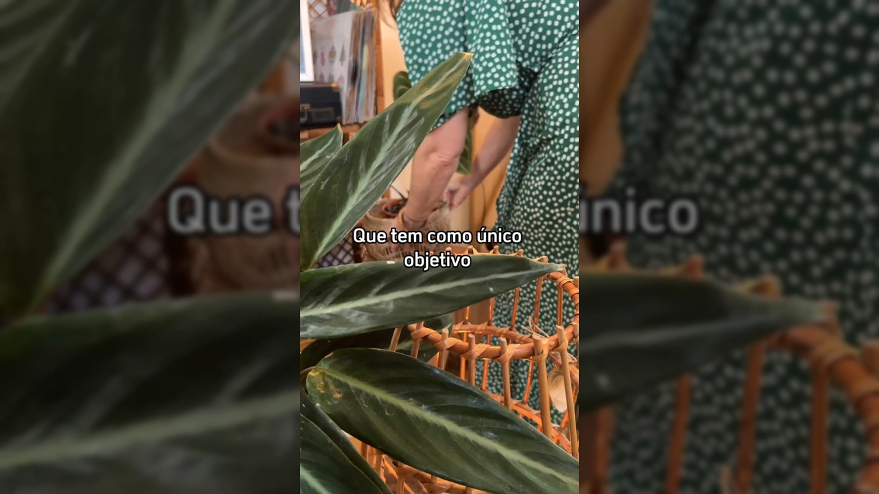 Imagem de Angela Cristina em um ambiente repleto de plantas, transmitindo uma mensagem de autoaceitação e impacto positivo. / Instagram
