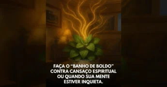 Planta de boldo com luz dourada brilhante, representando o ritual de Banho de Oxalá para purificação espiritual. Conteúdo de diarioespirita1 / Instagram.