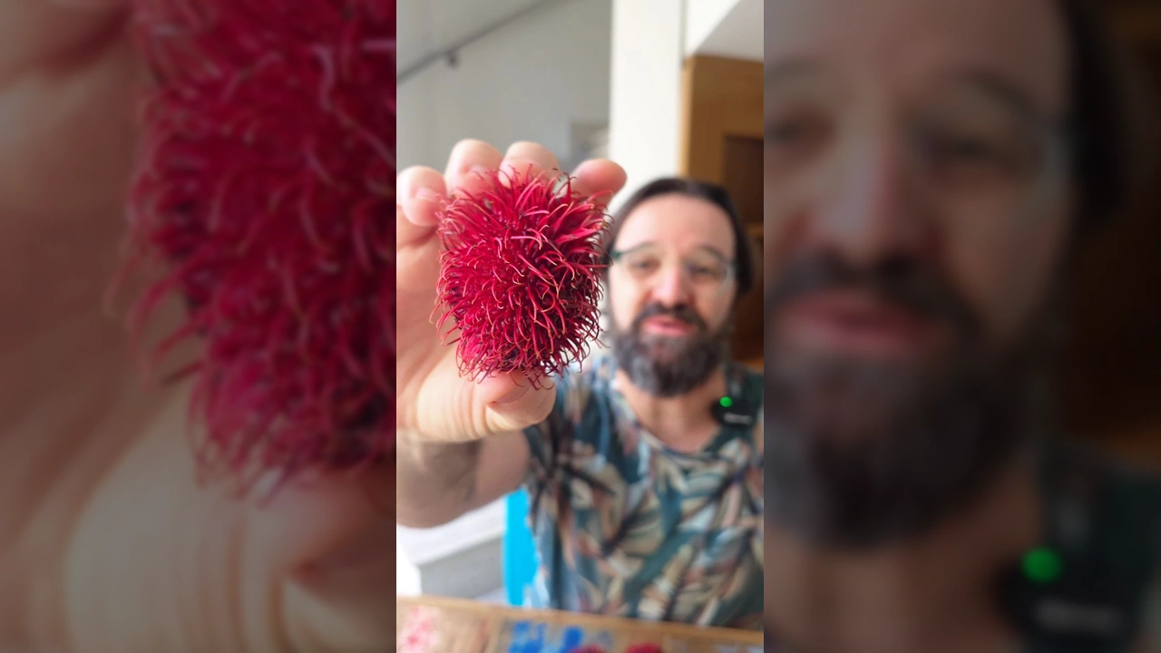 Homem com barba e óculos provando um rambutan recém-aberto, exibindo a polpa branca da fruta. Imagem de @umbotaniconoapartamento no Instagram.