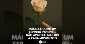Rosa com espinhos e uma mão, ilustrando a reflexão sobre mágoa de Medite Hoje.