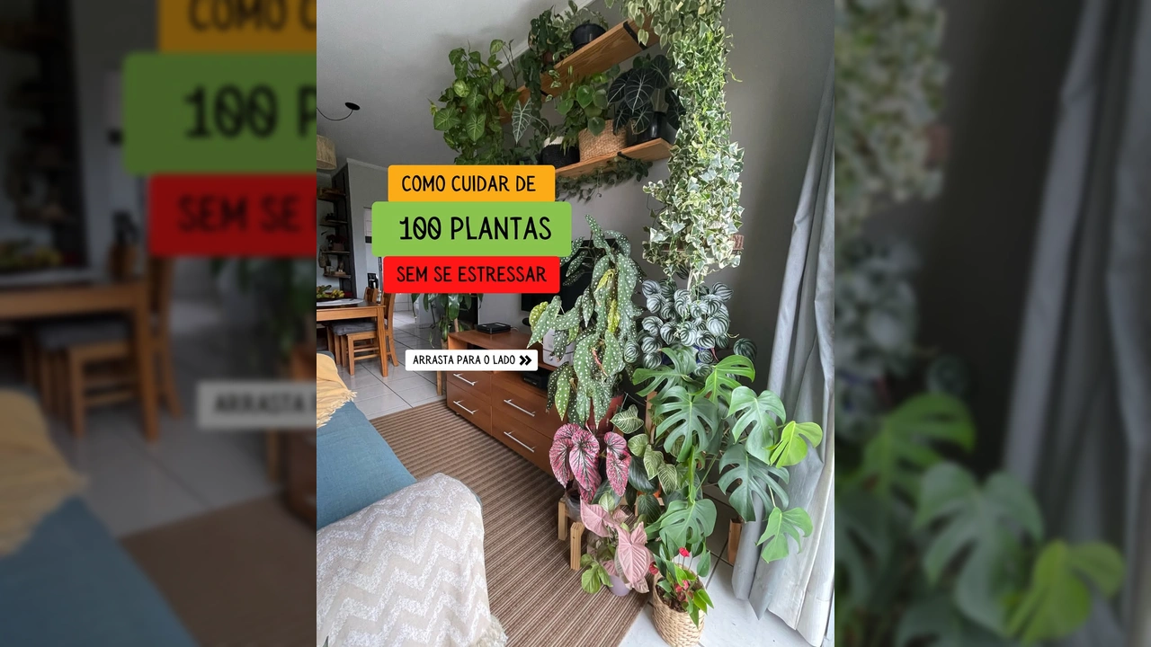 Vista de uma sala com diversas plantas ornamentais em vasos e prateleiras, destacando a beleza do ambiente decorado por Cheiro De Verde l Decoração.