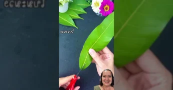 Mulher fazendo um suporte de flor com folha de mangueira. Tutorial de artesanato natural de Kidica10 | Mel Kiyota.