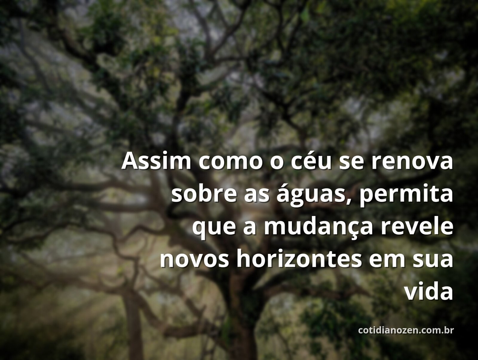 Céu amplo com nuvens suaves refletido perfeitamente na superfície serena de um lago, transmitindo paz e a beleza da transformação.