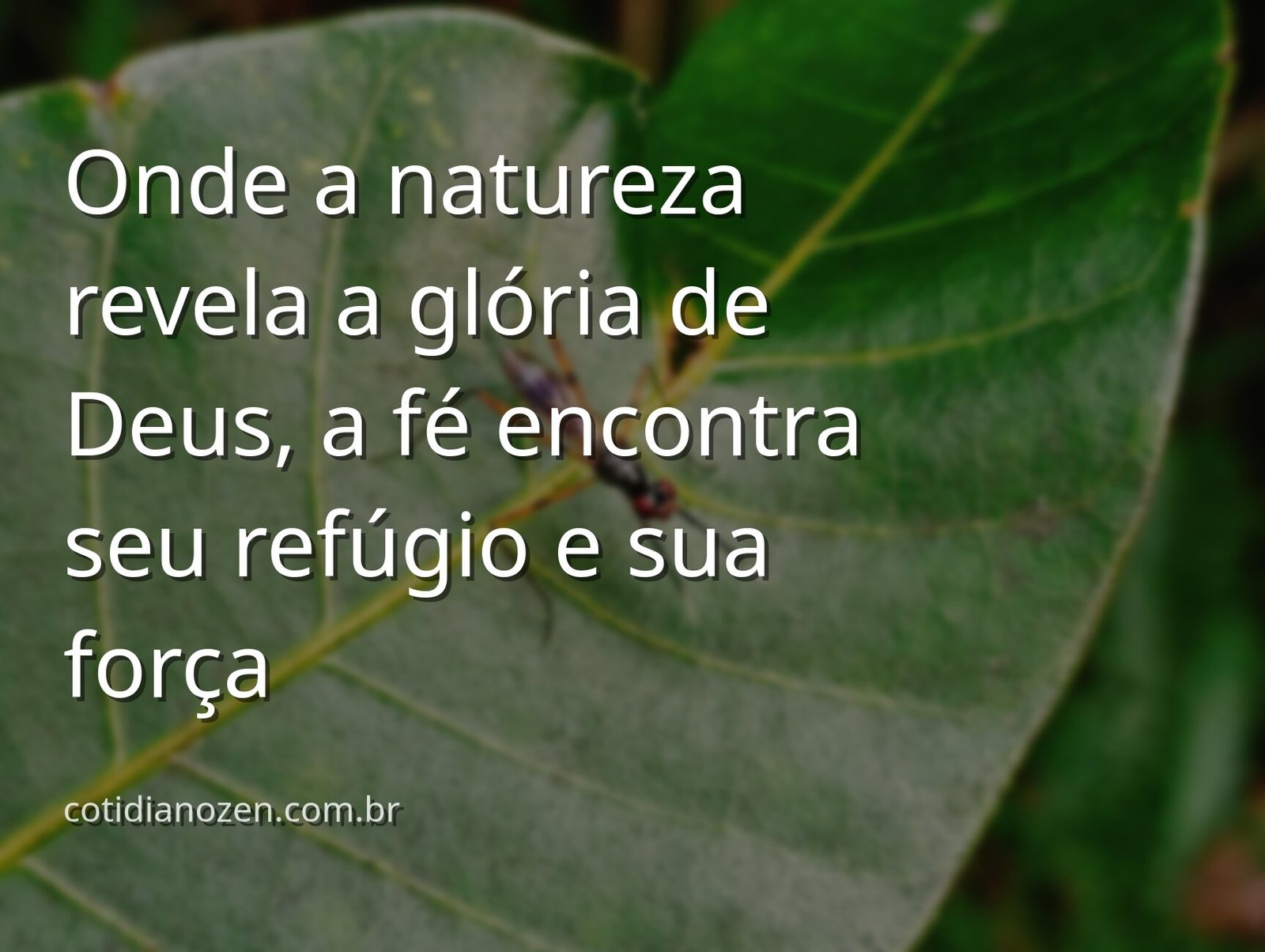 Vasto oceano encontra um céu azul com nuvens brancas, refletindo a paz e a serenidade encontradas na fé em Deus.