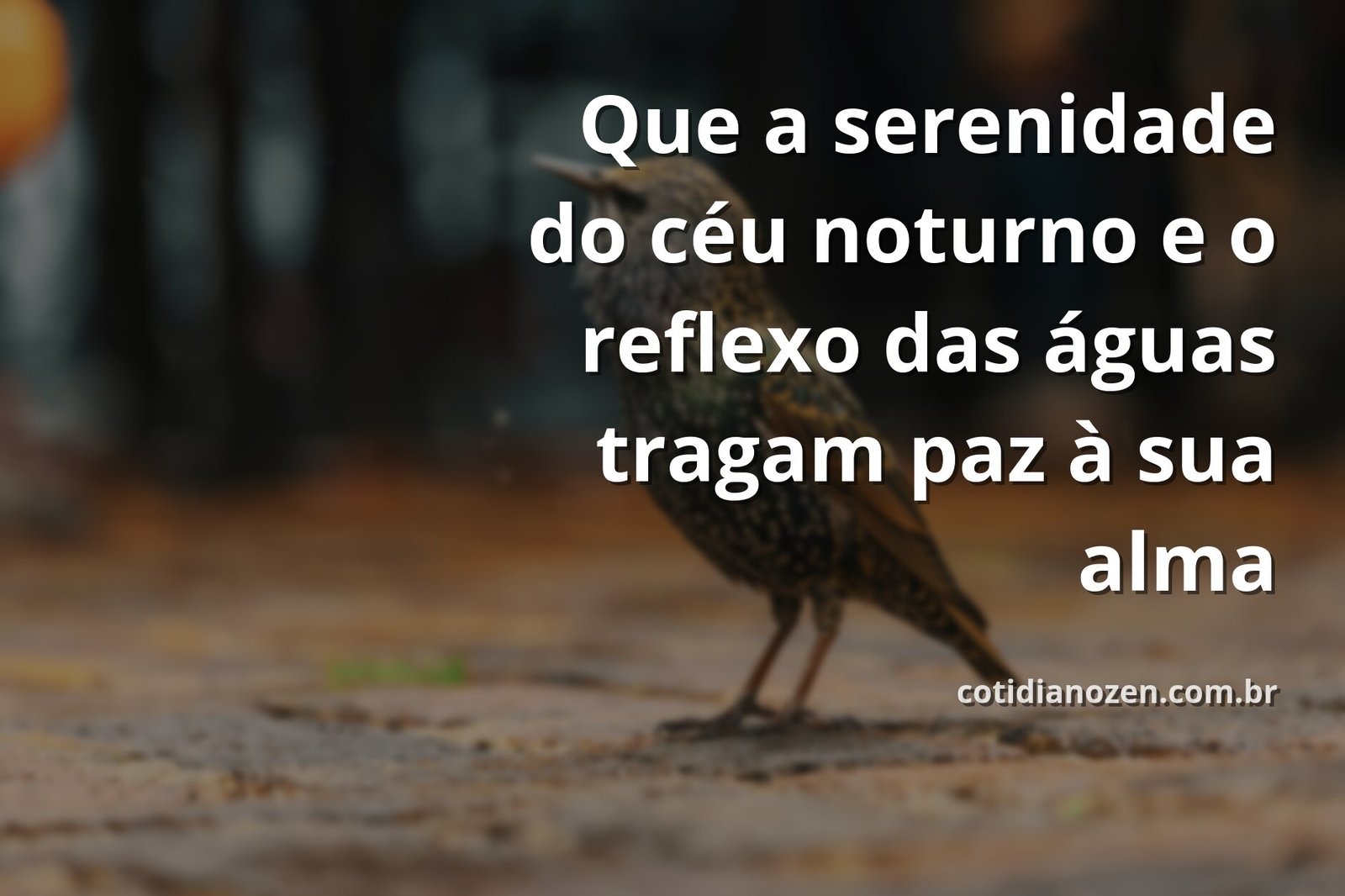 Céu noturno com estrelas e lua refletindo sobre a água calma de um lago, evocando um sentimento de paz e tranquilidade.