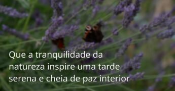 Paisagem serena com céu azul e nuvens brancas refletidas em um lago calmo, evocando um sentimento de paz para uma boa tarde.