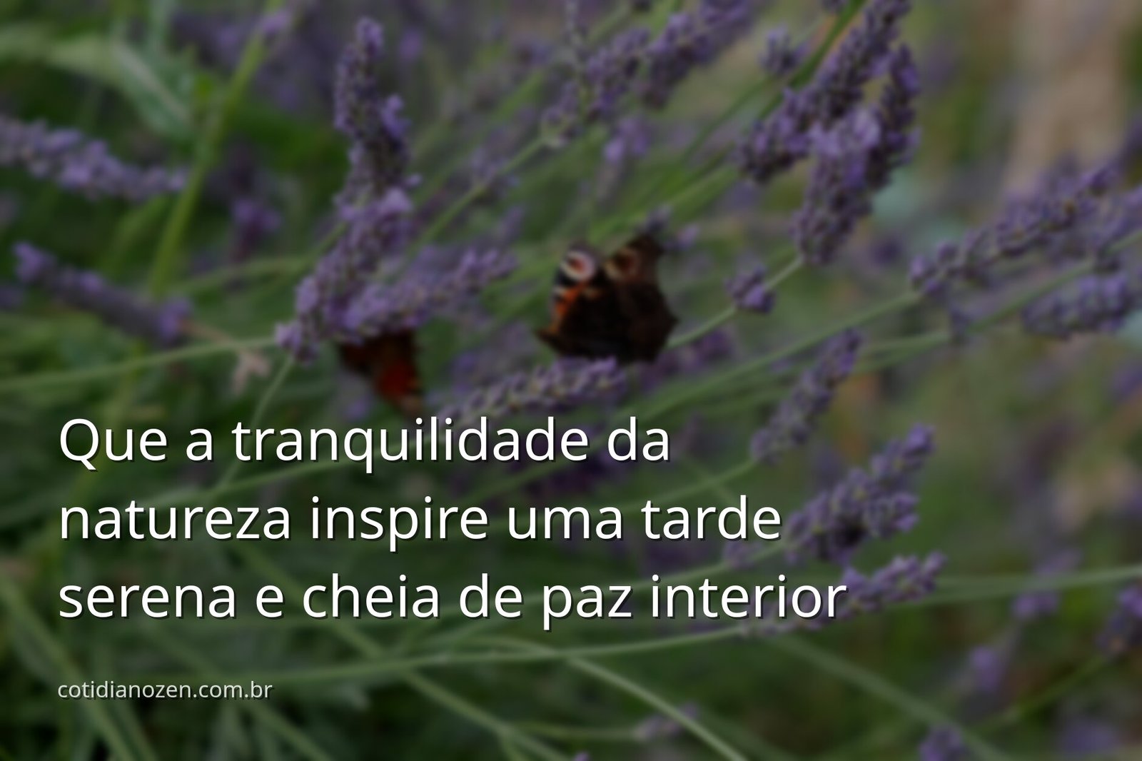 Paisagem serena com céu azul e nuvens brancas refletidas em um lago calmo, evocando um sentimento de paz para uma boa tarde.