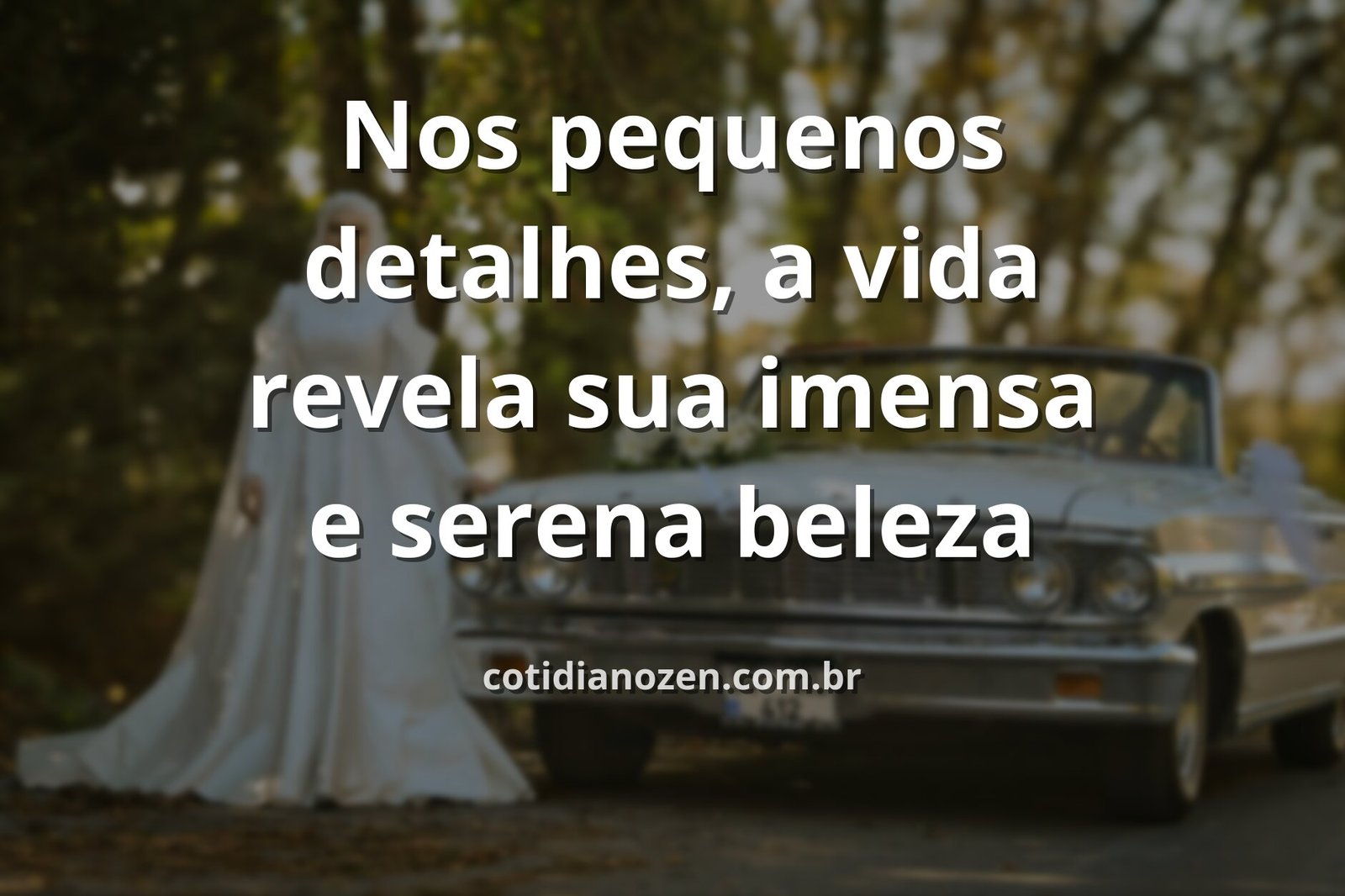 Céu azul com nuvens brancas refletido na água calma de um lago, transmitindo paz e a beleza dos detalhes da natureza.