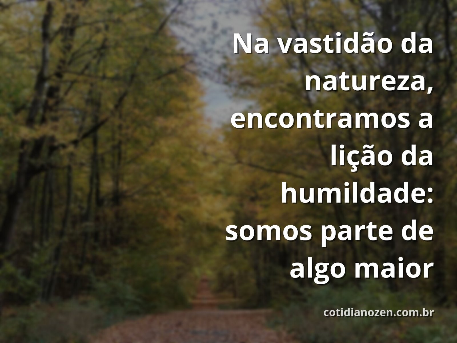 Vasto lago sereno refletindo um céu azul com nuvens brancas, evocando um sentimento de paz e humildade perante a grandiosidade da natureza.