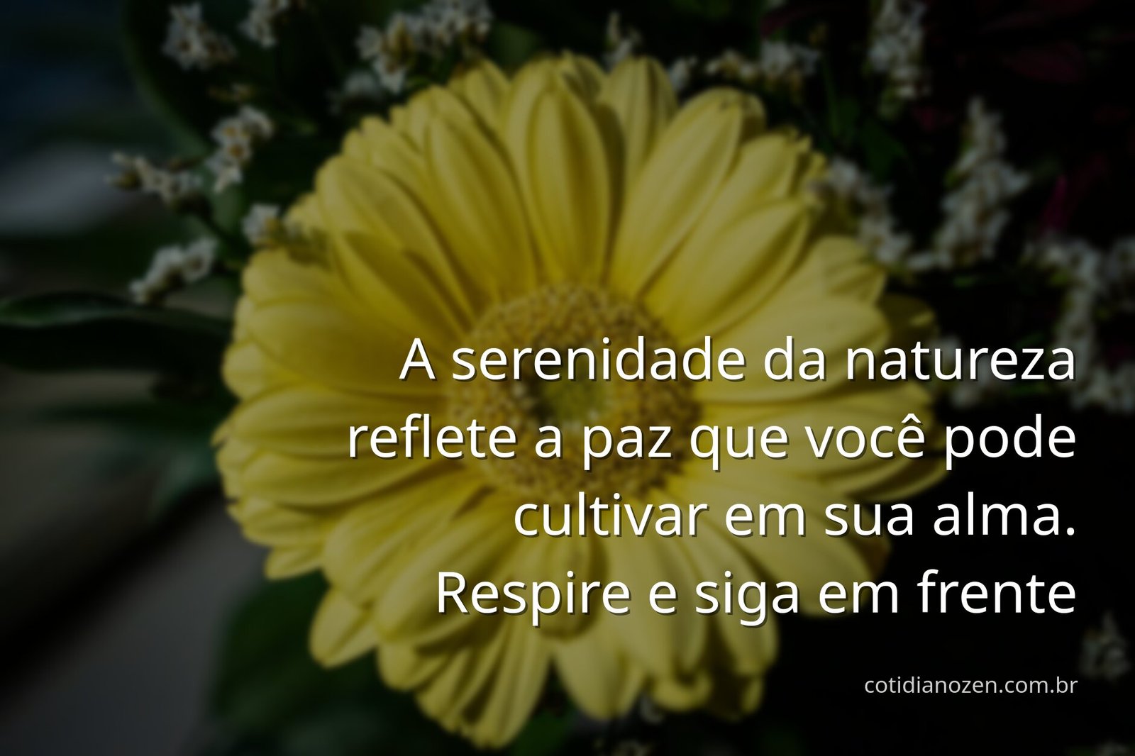 Paisagem serena com um lago calmo refletindo um céu vasto e com nuvens, evocando um sentimento de paz, inspiração e motivação.
