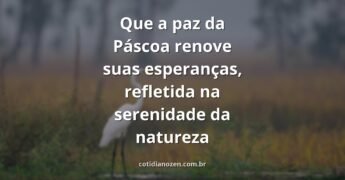 Céu sereno e águas calmas refletindo a luz do sol, evocando um sentimento de paz, renovação e esperança pascal.