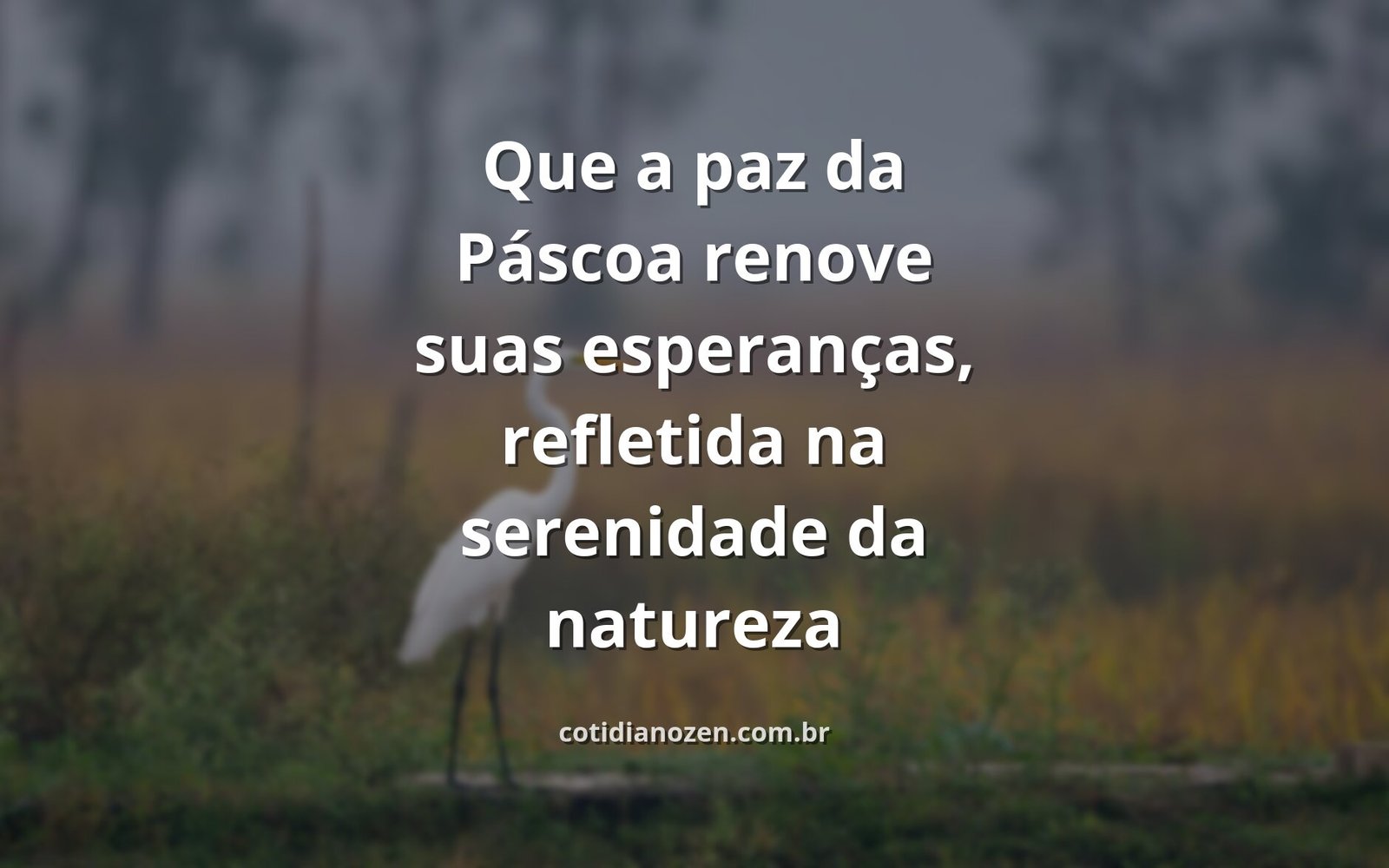 Céu sereno e águas calmas refletindo a luz do sol, evocando um sentimento de paz, renovação e esperança pascal.