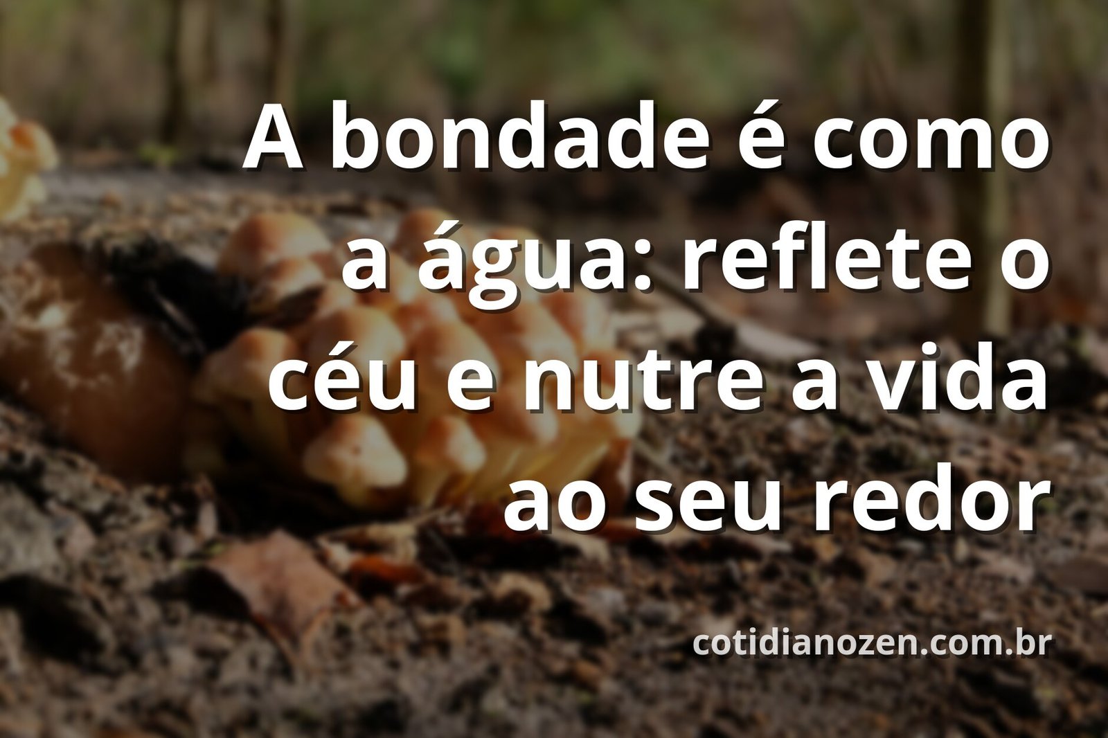 Céu azul com nuvens brancas refletido perfeitamente sobre a superfície calma de um lago, cercado por natureza, evocando paz e bondade.