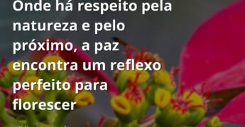 Céu azul com nuvens brancas refletido perfeitamente em um lago sereno, transmitindo a paz e a harmonia que vêm do respeito.