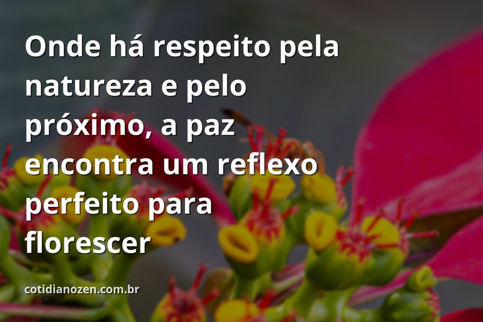 Céu azul com nuvens brancas refletido perfeitamente em um lago sereno, transmitindo a paz e a harmonia que vêm do respeito.