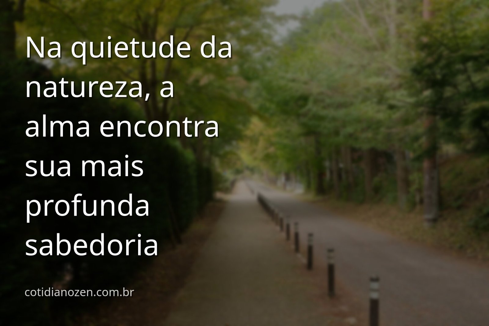 Paisagem serena de um lago espelhado refletindo um céu azul com nuvens brancas, evocando paz, clareza mental e sabedoria.