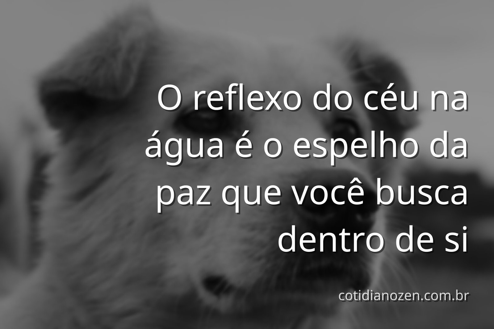 Céu azul com nuvens brancas refletido perfeitamente na superfície de um lago tranquilo, cercado por natureza, evocando serenidade e calma.