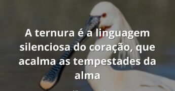 Céu em tons pastel refletido sobre as águas calmas de um lago ao amanhecer, evocando um sentimento de paz e ternura.