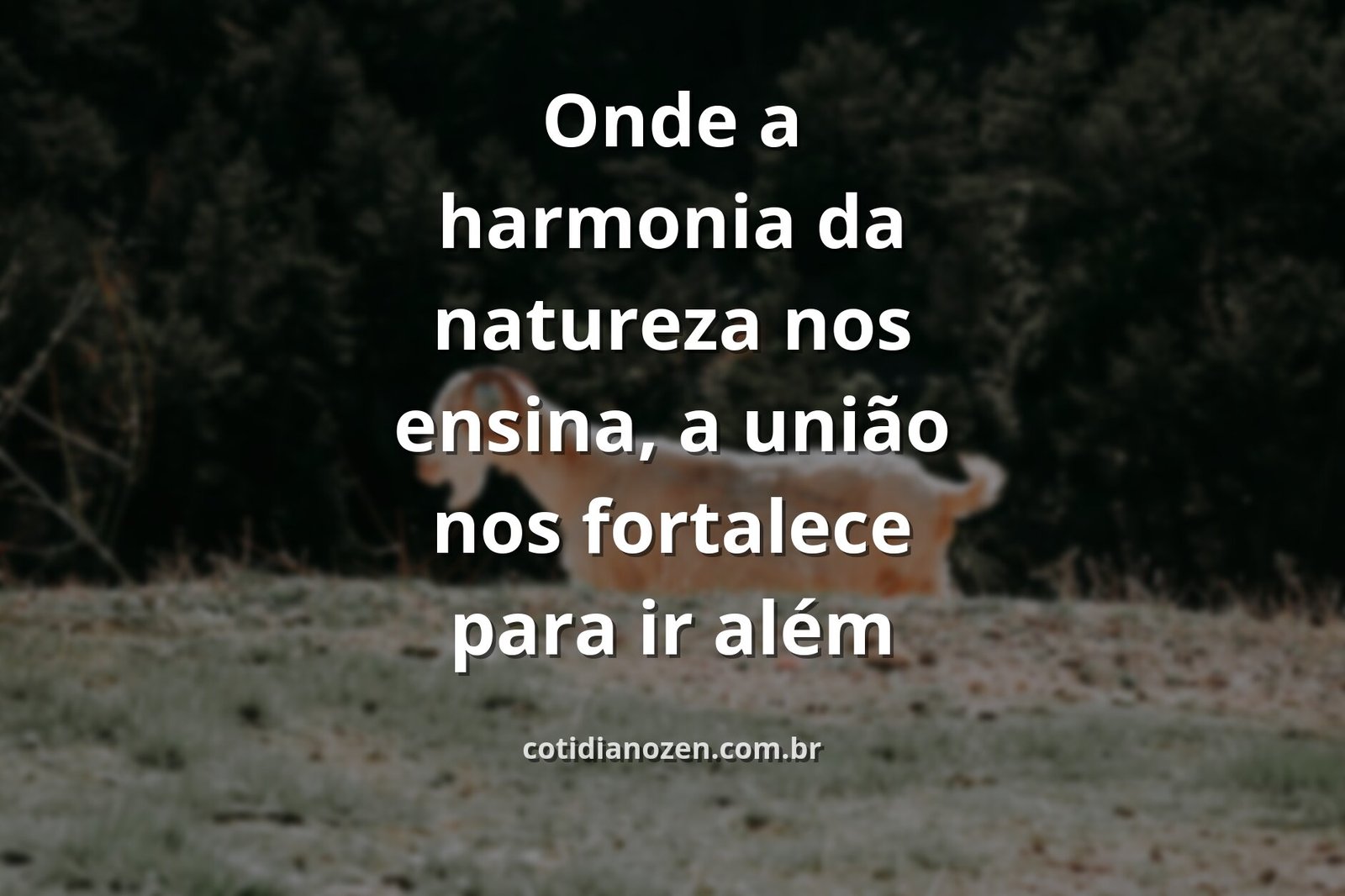 Céu azul com nuvens brancas refletindo perfeitamente sobre a água calma de um lago, simbolizando a paz e a força da união.