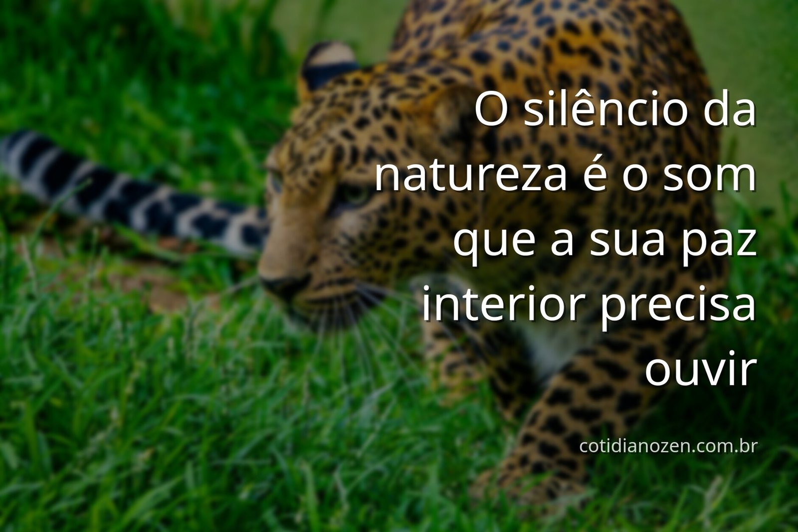 Paisagem serena de um lago espelhando o céu azul e nuvens, transmitindo uma profunda sensação de paz e tranquilidade.