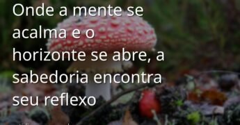 Cena serena de um lago espelhado refletindo um céu vasto e nuvens suaves. A imagem inspira paz, clareza e sabedoria interior.