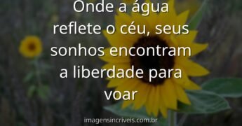 Paisagem serena de um lago espelhando um céu vasto com nuvens, evocando um sentimento de paz, liberdade e a imensidão dos sonhos.