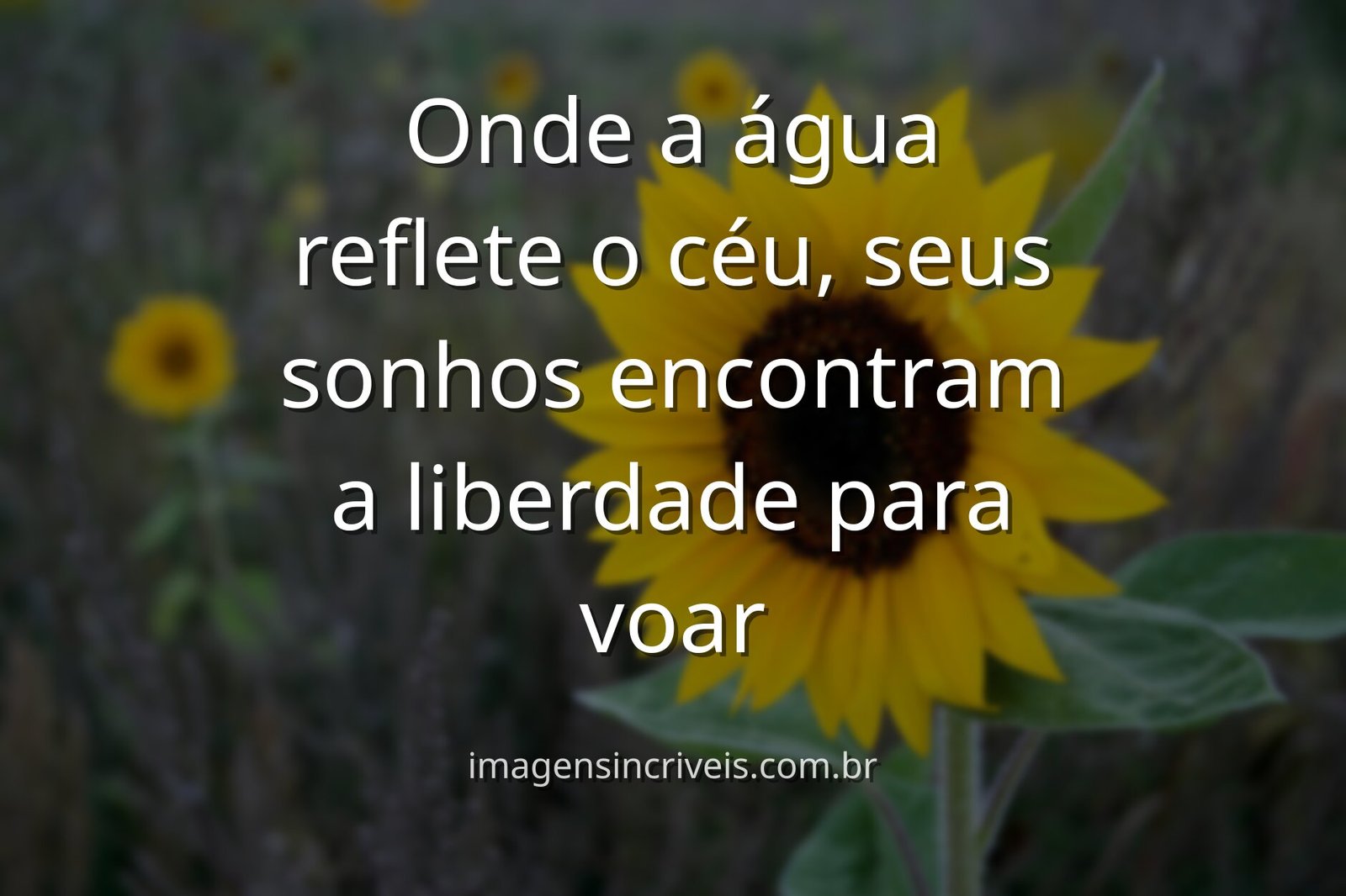 Paisagem serena de um lago espelhando um céu vasto com nuvens, evocando um sentimento de paz, liberdade e a imensidão dos sonhos.